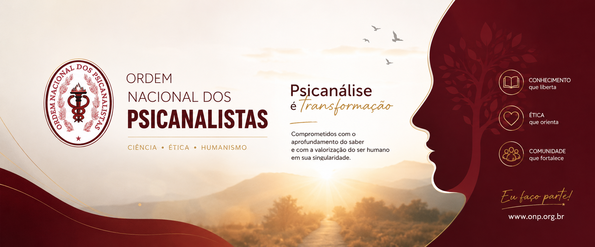 capa facebook onp